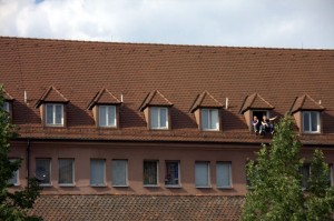 Roof dwellers