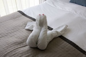 Towel swan