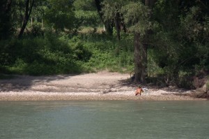 Nude sunbather