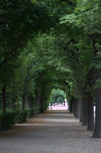 Schonbrunn Palace garden