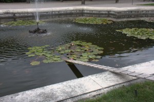 Schonbrunn Palace garden