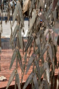 Holocaust memorial tree