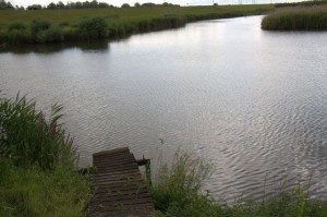 Kinderdijk