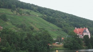 Cruising the Rhine