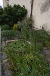 Castle herb garden