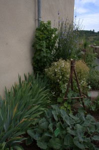 Castle herb garden