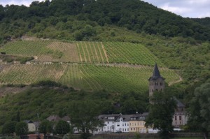 Cruising the middle Rhine