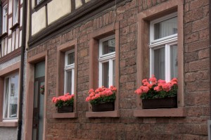 Window boxes