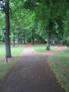 The park