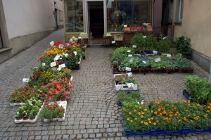 Flower shop