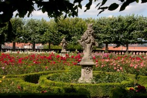 The garden behind the New Residence