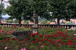 The garden behind the New Residence