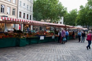 The farmer's market