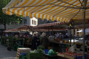 The farmer's market