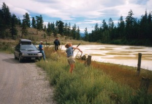 Throwing rocks at the weird lake