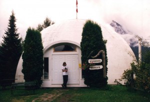 Wildlife museum igloo