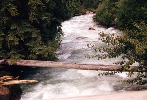 Roaring river