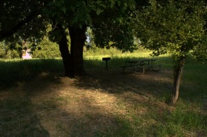 Island picnic spot