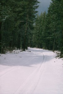 Snowy road through the wilderness