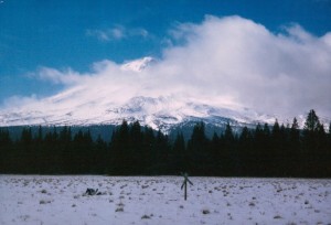 Mt. Shasta