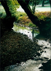 Creek by the campground