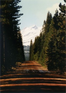 Shasta Wilderness