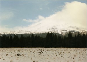 Mt. Shasta