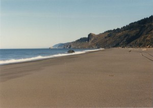 Beach north of the Redwoods