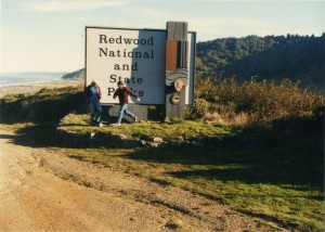 Redwood National Park (take 1)