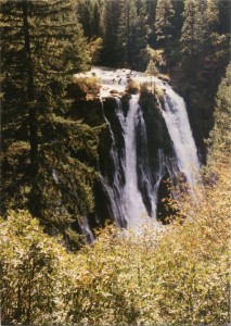 Burney Falls
