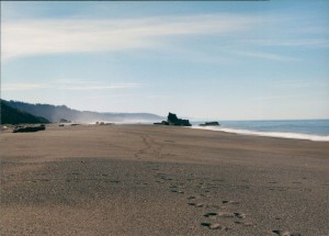 Beach north of the Redwoods