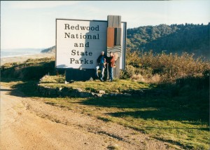 Redwood National Park (take 2)