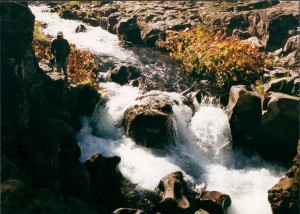 Les checks out the other waterfall