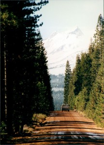 Shasta Wilderness