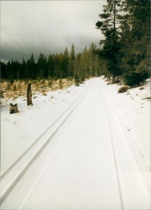 Snowy road through the wilderness