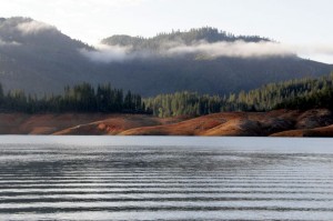 Morning on the lake