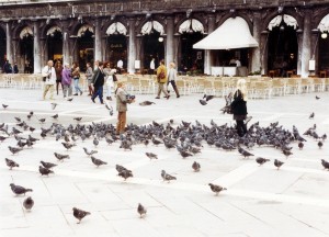 Tourists and pigeons