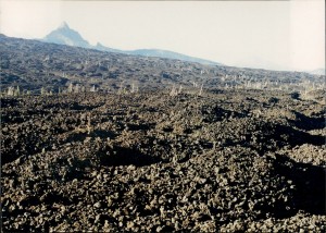 Lava field