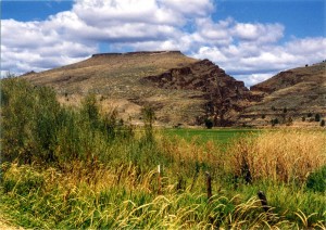 John Day fossil beds - Sheep Rock Unit