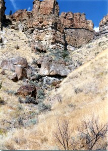 John Day fossil beds - Clarno Unit