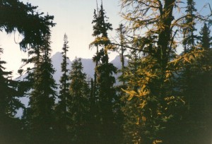 Northern Cascades