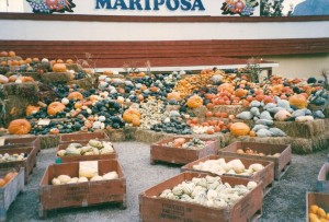 Mariposa Market