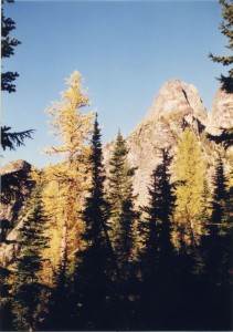 Northern Cascades