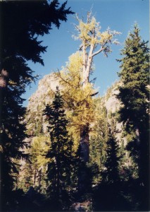 Northern Cascades