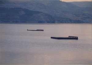 Swimming platforms