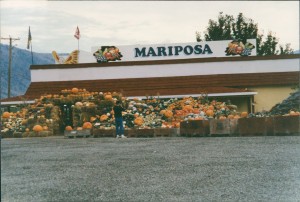 Bart photographs the vegetables