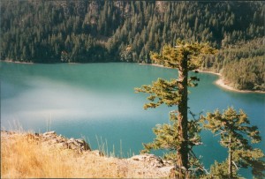 A very green lake