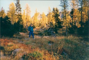 Bart heads into the trees