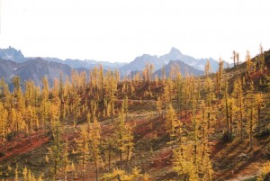 Northern Cascades