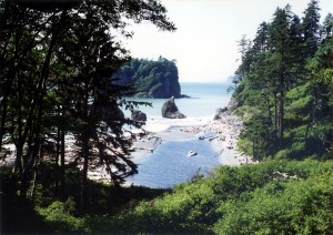 Somewhere else on the Washington coast